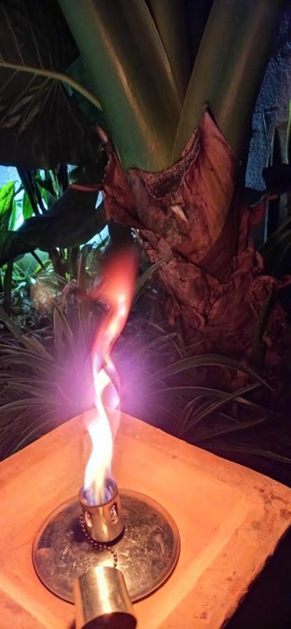 شقة Fleur De Passion سانت أندريه المظهر الخارجي الصورة